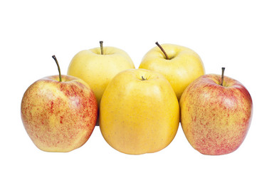 Similar image 1010743