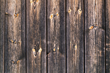 Similar image 1010753