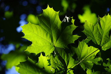 Similar image 1010755