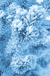 Similar image 1010757