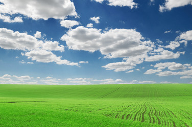 Similar image 1010758