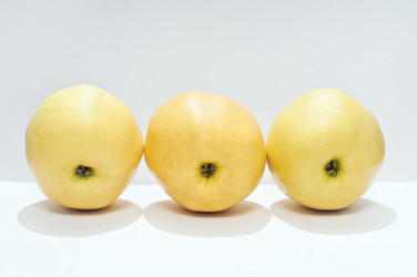 Similar image 1010764