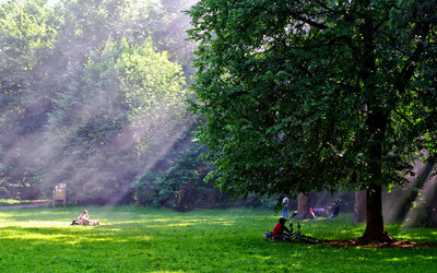 Similar image 1010765