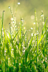 Similar image 1010902