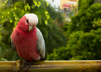 Similar image 1010903