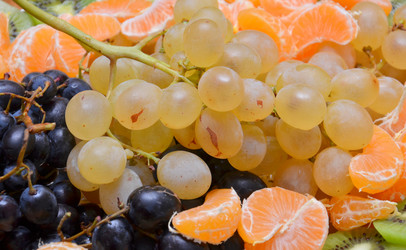 Similar image 1010946