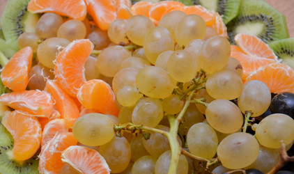 Similar image 1010948