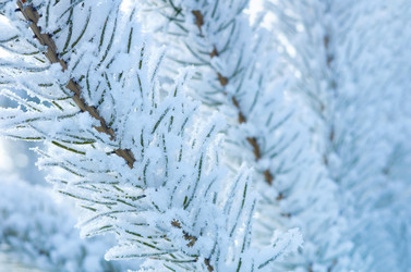 Similar image 1011001