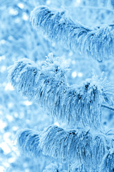 Similar image 1011003