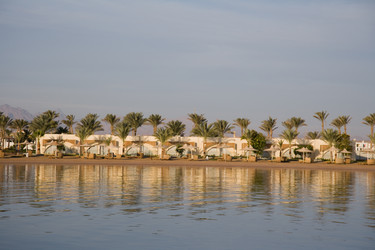 Similar image 1011057