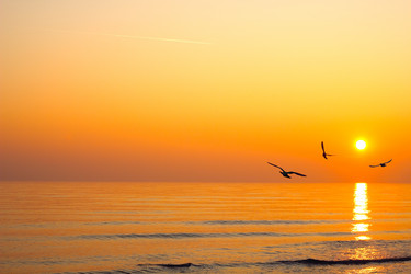 Similar image 1011165