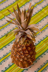 Similar image 1011196