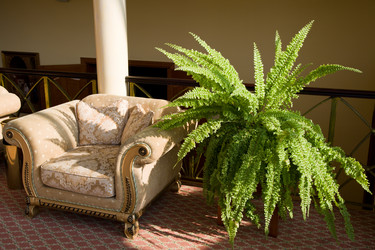 Similar image 1011207