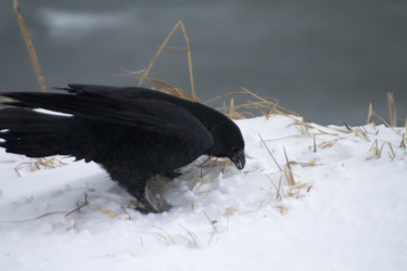 Similar image 1011234