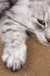 Similar image 1011269