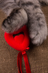 Similar image 1011272