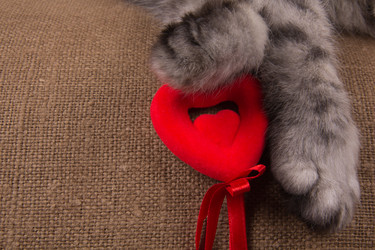 Similar image 1011273