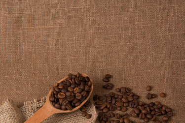 Similar image 1011302