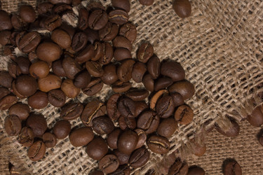 Similar image 1011310