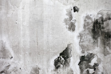 Similar image 1011415