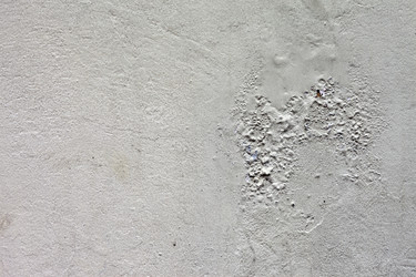 Similar image 1011414