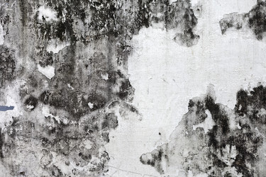 Similar image 1011416