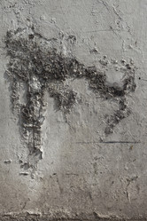 Similar image 1011417