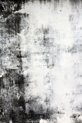 Similar image 1011418