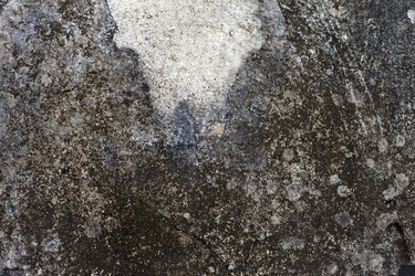 Similar image 1011420