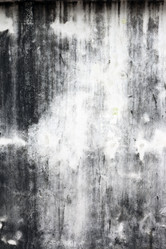 Similar image 1011421