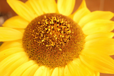 Similar image 1011422