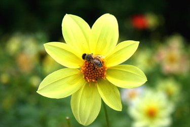 Similar image 1011442