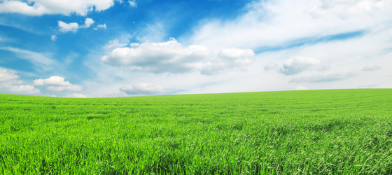 Similar image 1011469