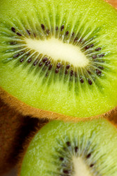 Similar image 1011612