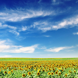 Similar image 1011617