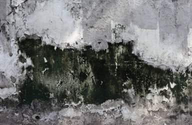 Similar image 1011738