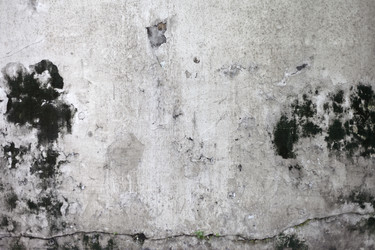 Similar image 1011739