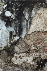 Similar image 1011747