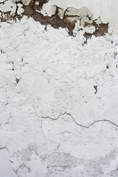 Similar image 1011748