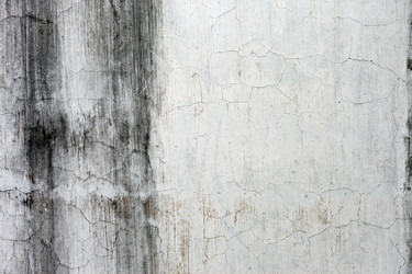 Similar image 1011749