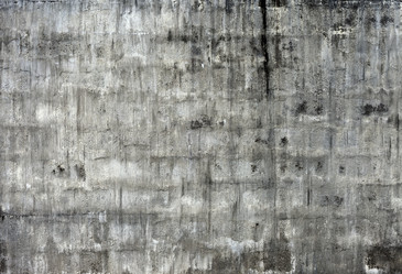 Similar image 1011754