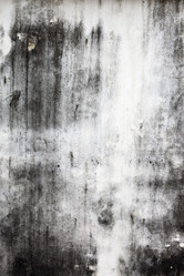 Similar image 1011757