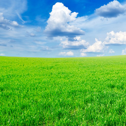 Similar image 1011766