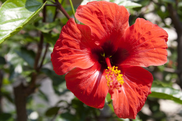 Similar image 1011845