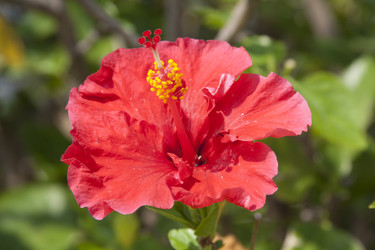 Similar image 1011847