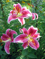 Similar image 1011850