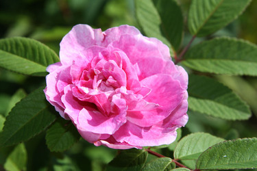 Similar image 1011851