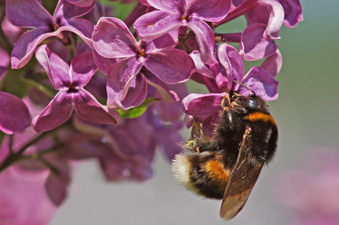 Similar image 1011852