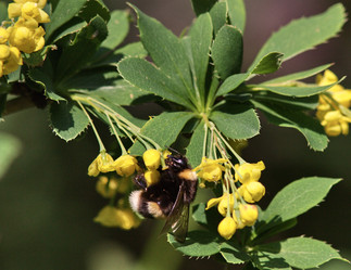 Similar image 1011854