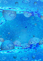 Similar image 1011880